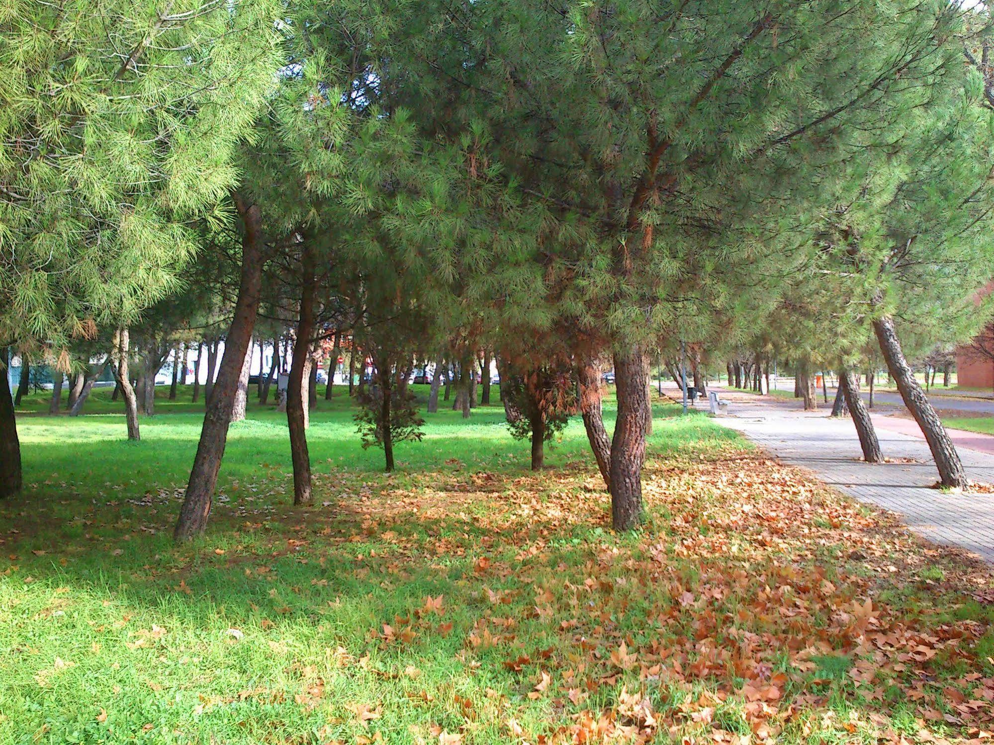 Residencia Universitaria Giner de Los Ríos Alcalá de Henares Exterior foto